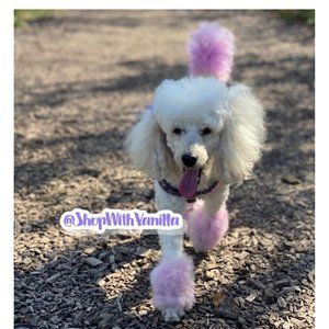 Meet your Posher, Vanilla!